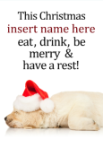 Sleepy Dog